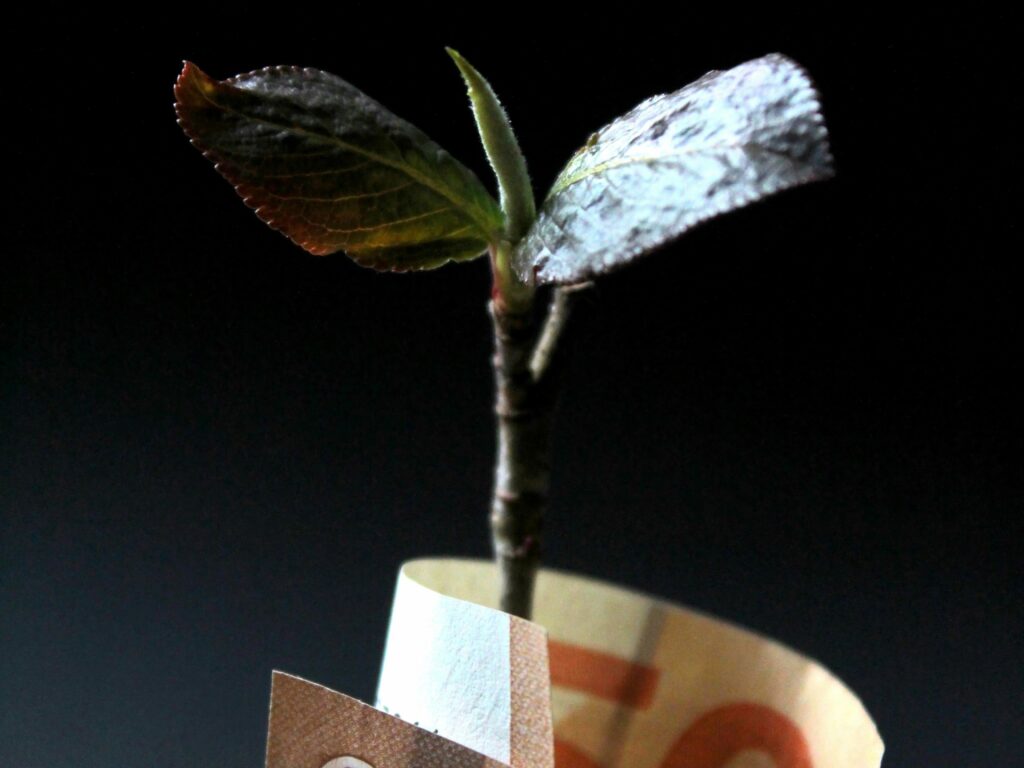 Symbolbild für Wachstum