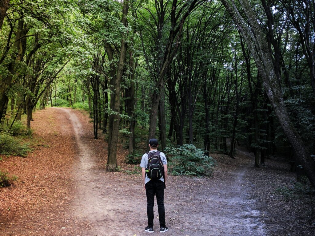 Symbolbild für "Entscheidung"