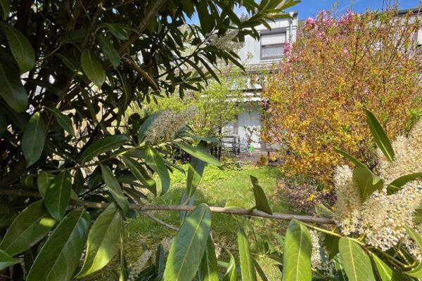 Gartenansicht GSP
